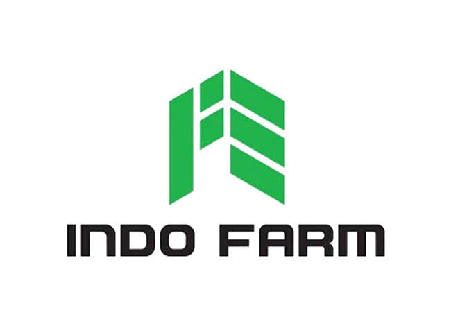 Indo logo